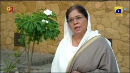 Aafat - Episode 34 - 16th November 2024